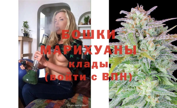 винт Пересвет