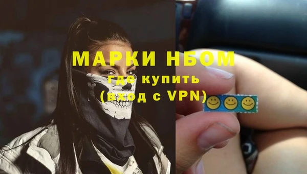 винт Пересвет
