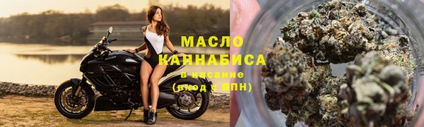 винт Пересвет